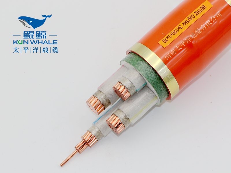 電線電纜廠家淺談什么叫BTTRZ電纜YTTW電纜型號(hào)是什么？